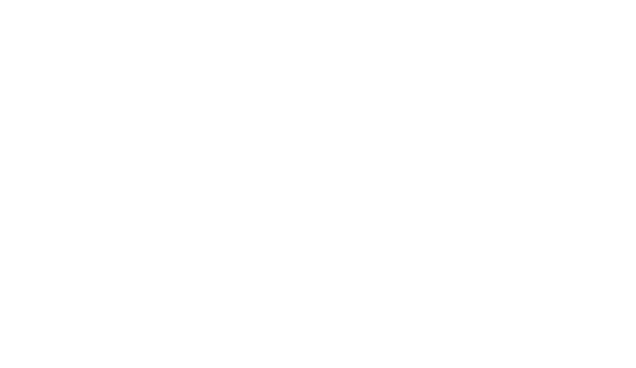 65°